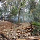 秒伐木場(chǎng)藤野貿(mào)易MRO綜合服務(wù)商視頻展示