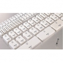 三豐藤野貿(mào)易代理 日本三豐MITUTOYO單體英制型矩形量塊613146