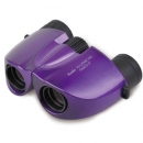 Kenko  10X20MCHGPR 10倍HG雙鏡