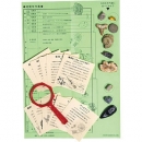 kenis  FS08 化石收藏