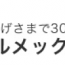 藤野代理 elmech 高分子擴音器水琴MS-10 日本軍工品質