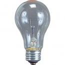 HATAYA  TD-100 ハタヤ　耐振電球１００Ｗ　（ＩＬＩ、ＫＬ型用）