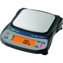 AND 艾安得 EJ610B-JA-00A00個人天平EJ610B一般校正付