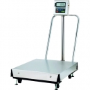 AND 艾安得 HV-300KIEPB-K鑒定附帶本質(zhì)安全防爆構(gòu)造數(shù)字大型臺(tái)秤HV300KIEPB-K3區(qū)檢定品